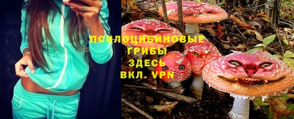 apvp Балабаново