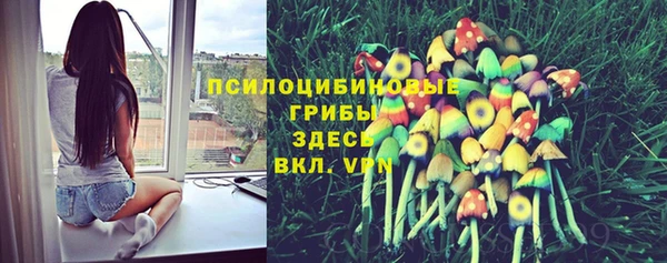 apvp Балабаново