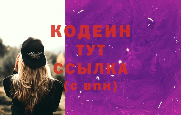 ECSTASY Белокуриха