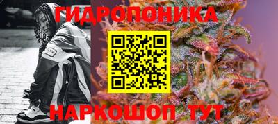круглые Кингисепп