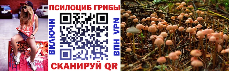 Галлюциногенные грибы ЛСД это какой сайт Коммунар