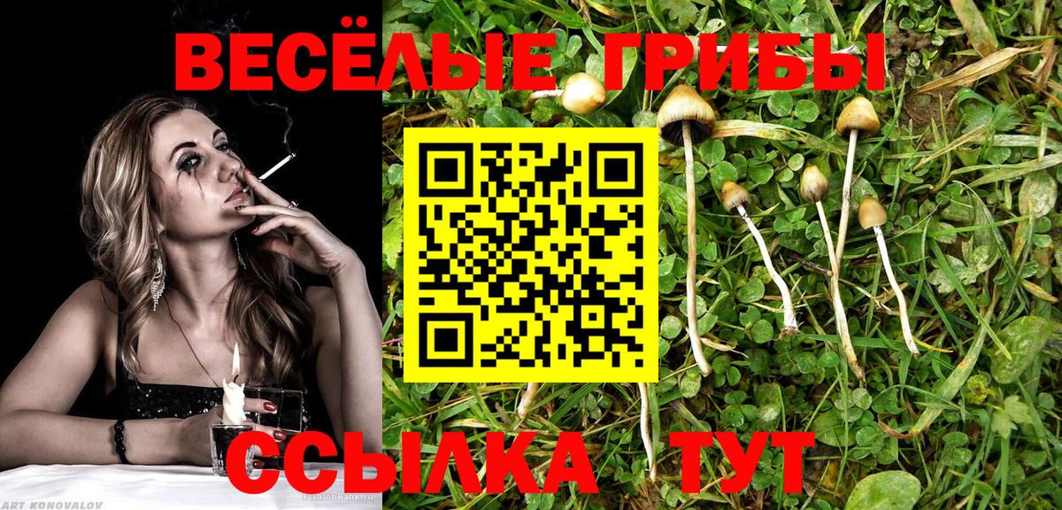 Коммунар  Галлюциногенные грибы Magic Shrooms  Вход с VPN 