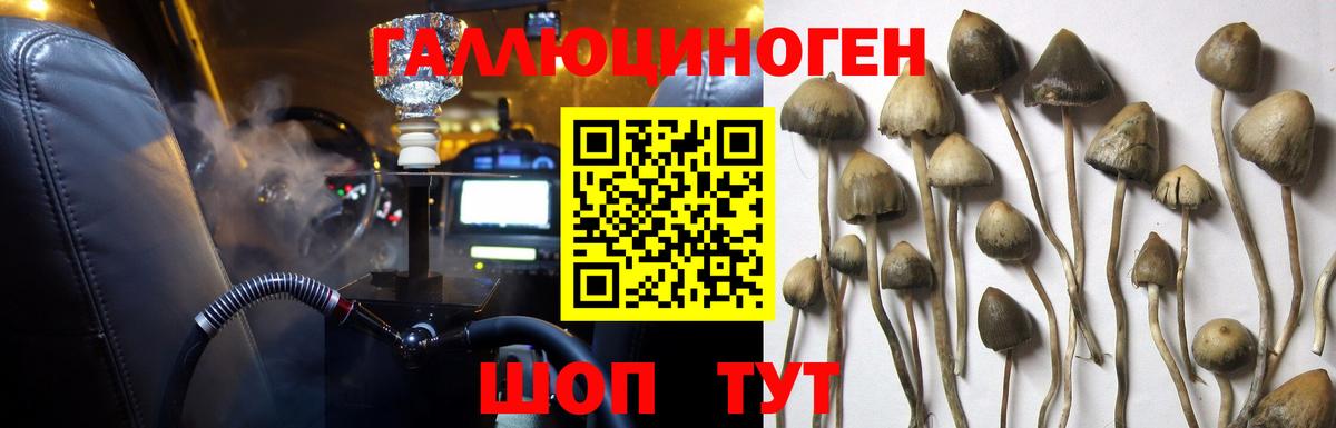 Бошки Шишки  Меф  Гашиш  Конопля  Коммунар  Вход с VPN  МЕФ кристаллы  МЕТАДОН 